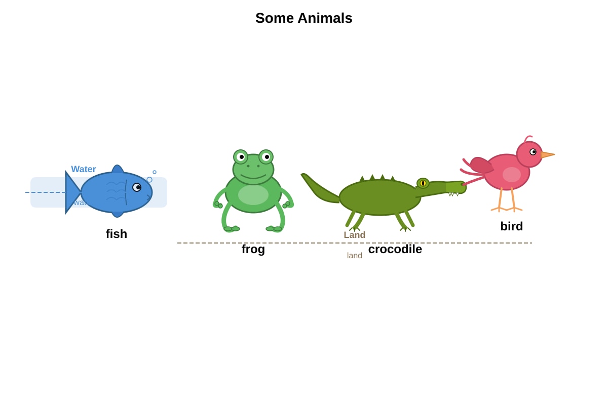 Diagram for Q16 (P5 Science)