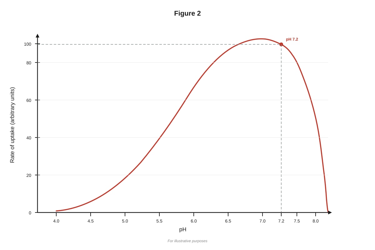 Image for placeholder 2 (ALEVEL Biology H1)