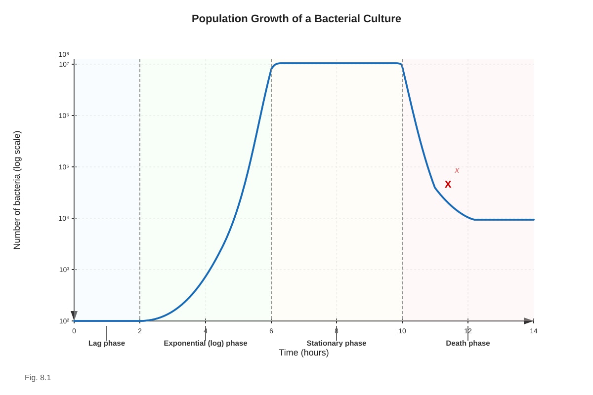 Graph for Q8 (ALEVEL Biology H1)