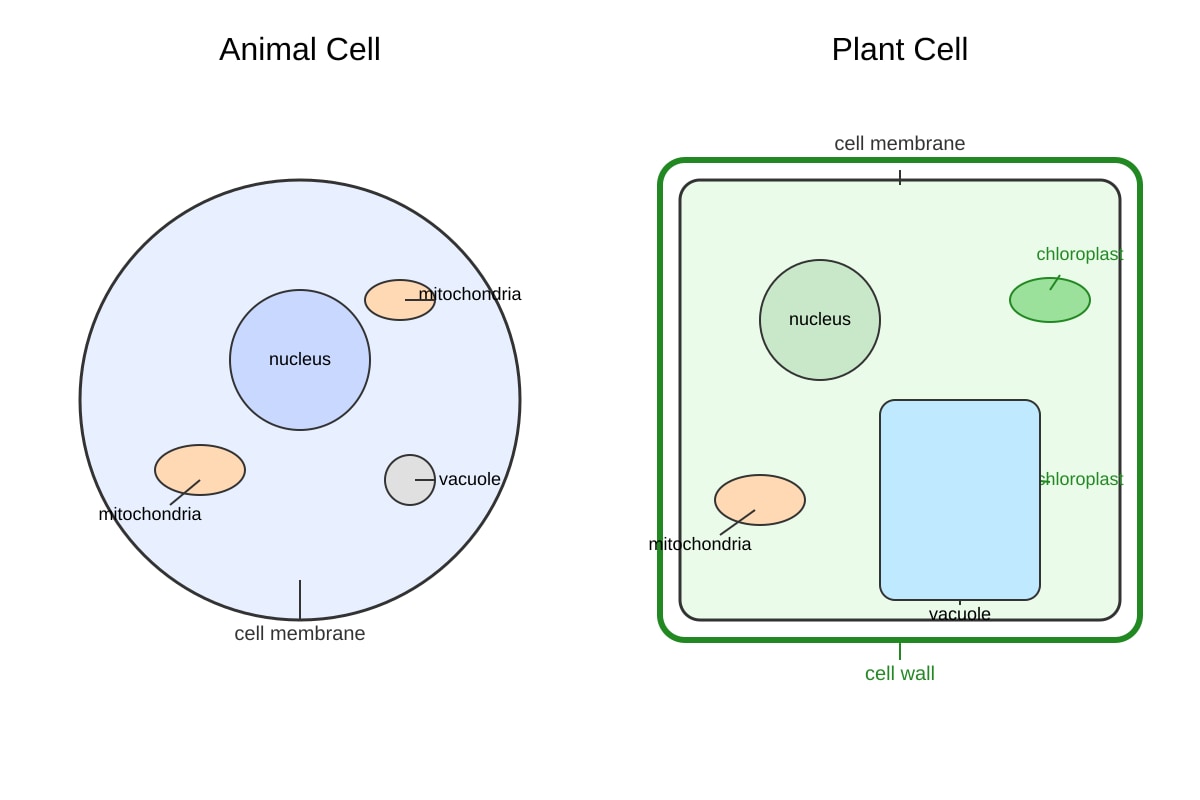 Diagram for 14 (SEC4 Combined Sci Bio)