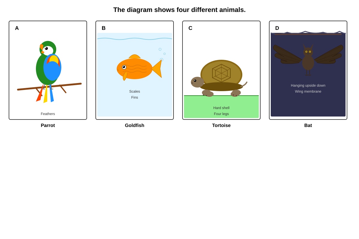 Diagram for Q13 (P3 Science)