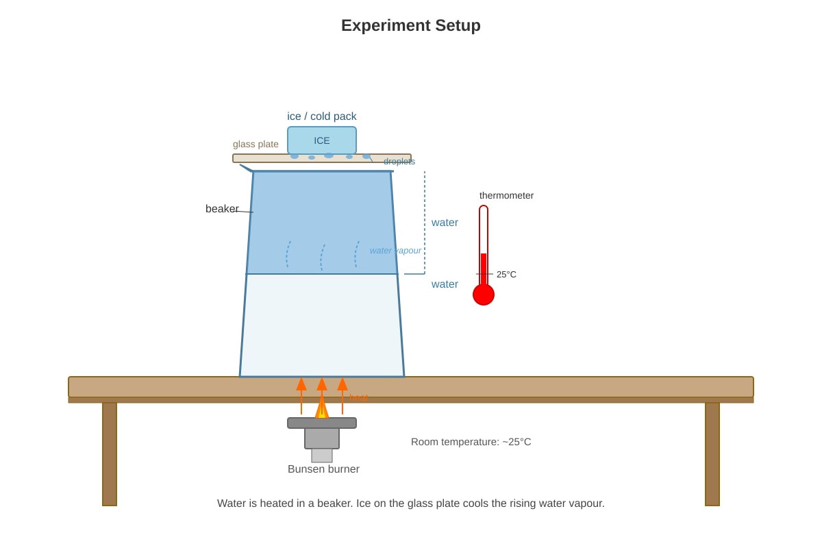 Diagram for placeholder 1 (P4 Science)