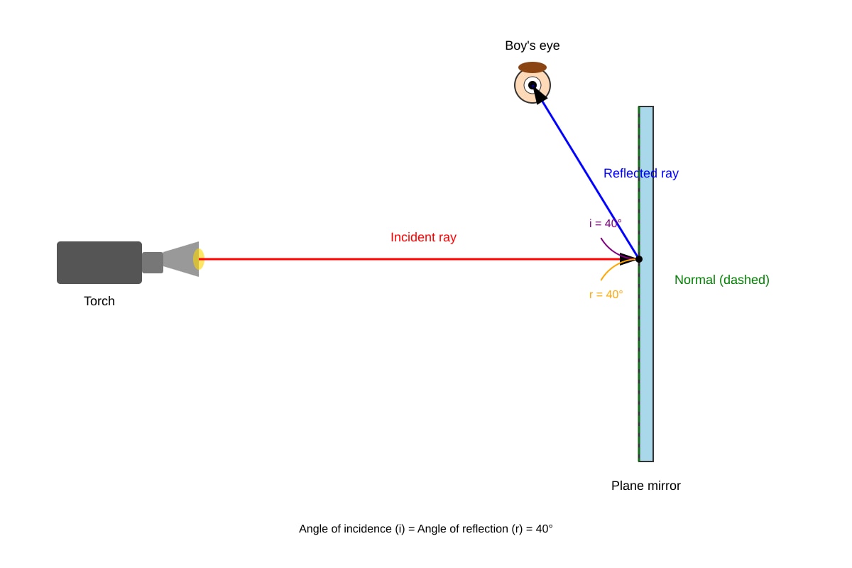 Diagram for Q13 (P4 Science)