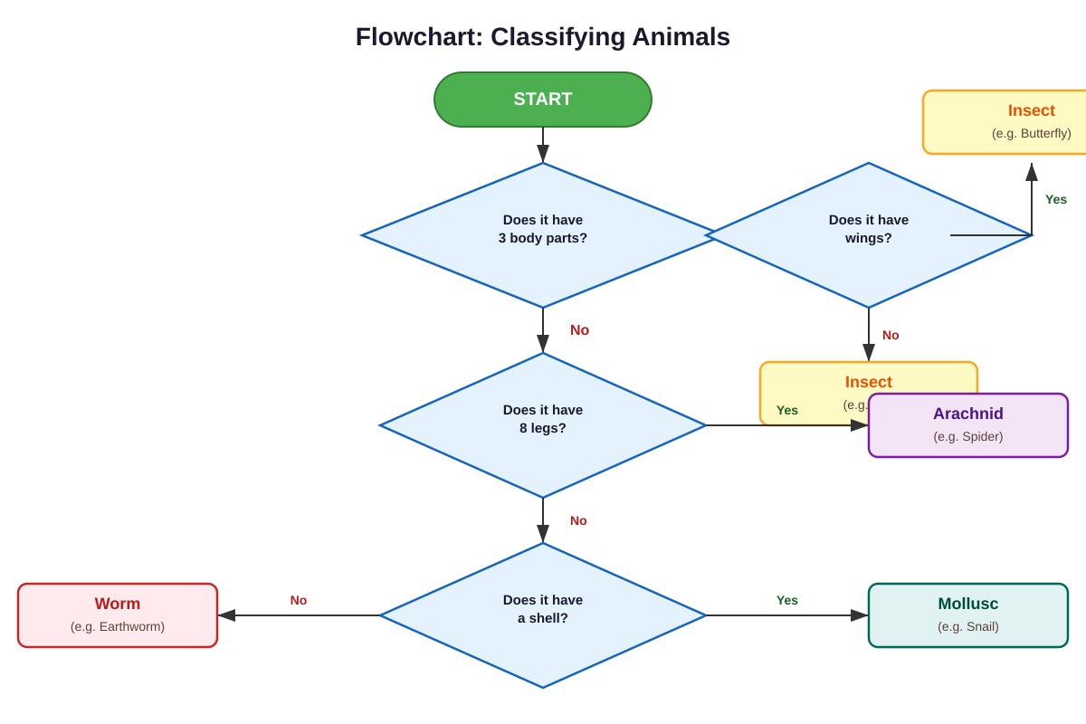 Diagram for Q7 (P4 Science)