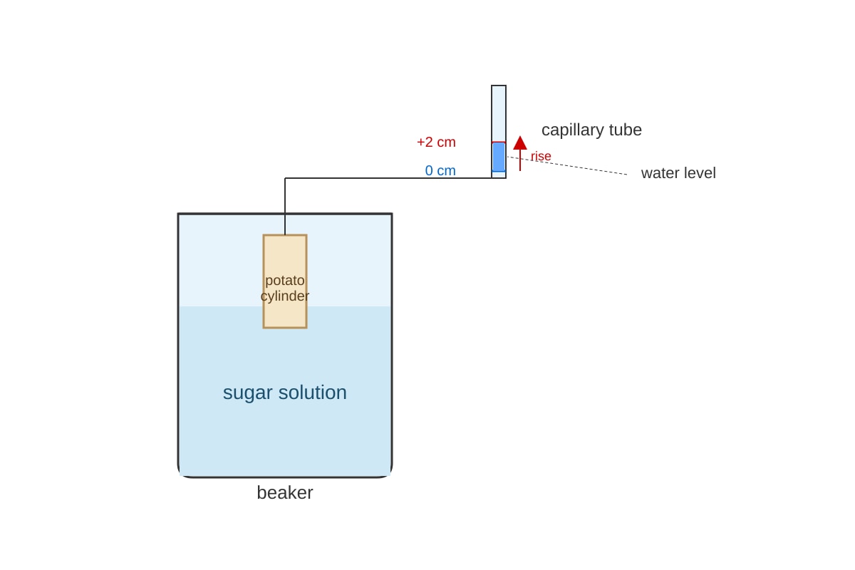Experimental Setup for 18 (SEC4 Combined Sci Bio)