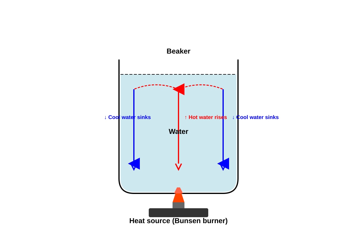 Diagram for Q14 (P3 Science)
