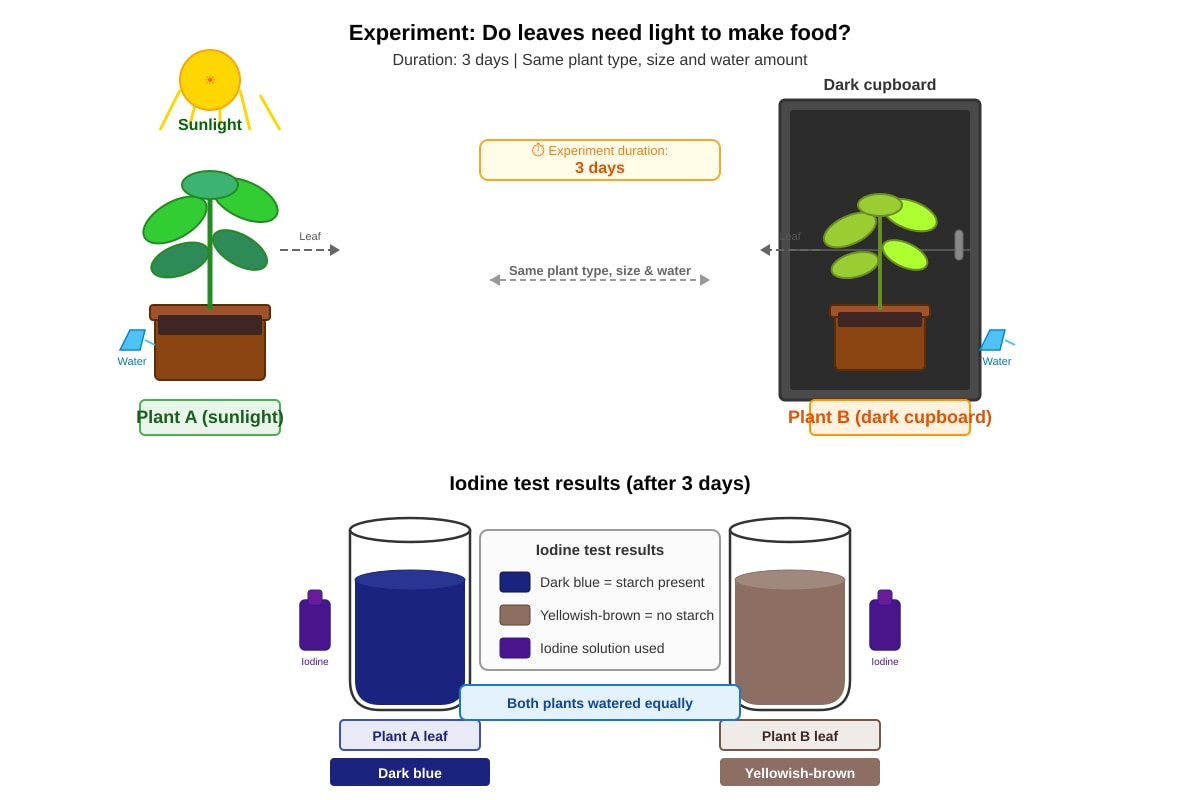 Experimental Setup for Q34 (P4 Science)