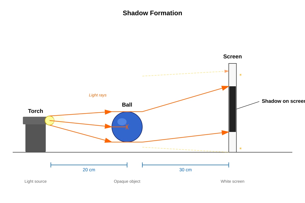 Diagram for Q10 (P4 Science)