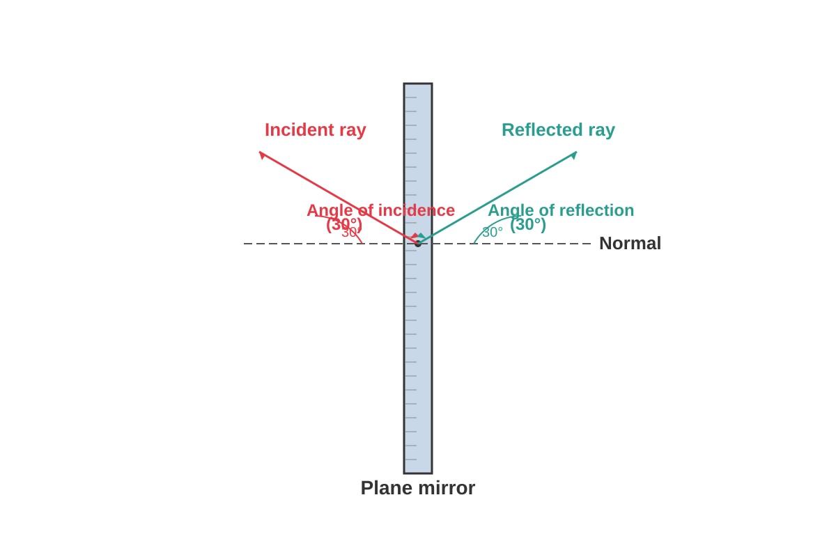 Diagram for Q37 (P5 Science)