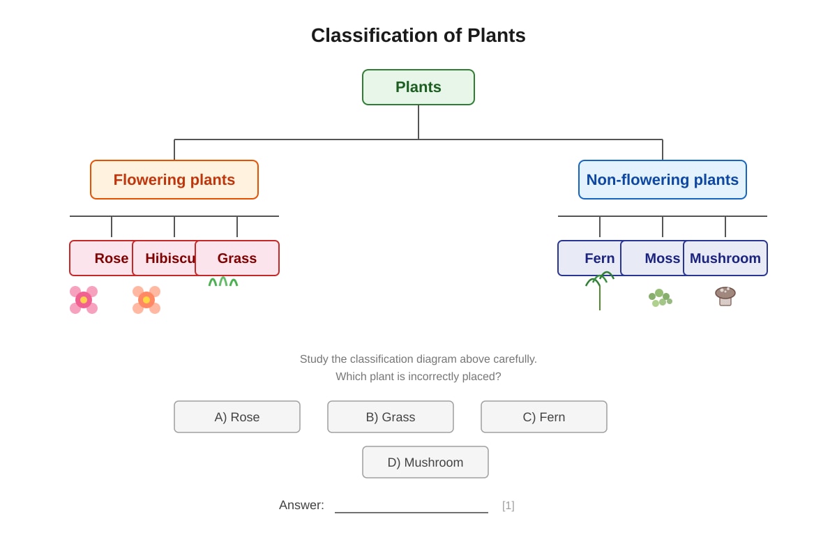 Classification Diagram for Q9 (P5 Science)