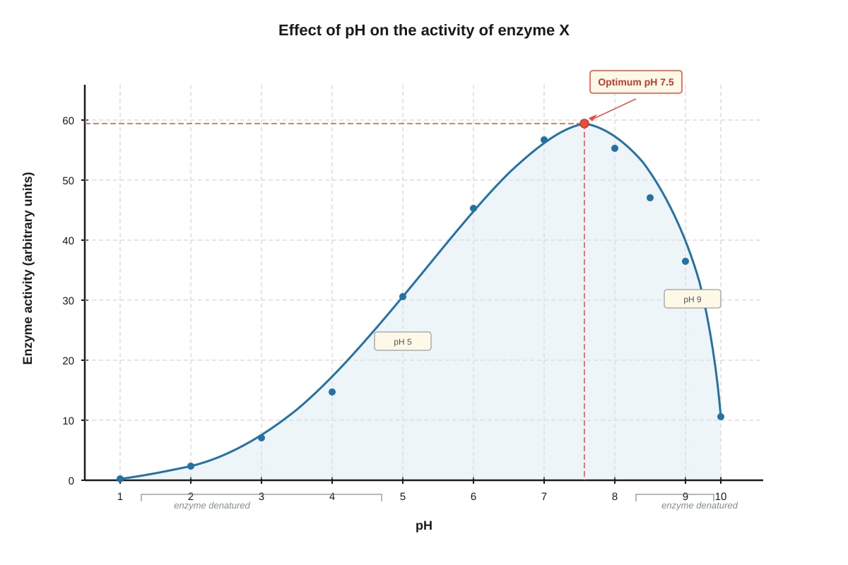 Graph for placeholder 2 (SEC4 Pure Biology)