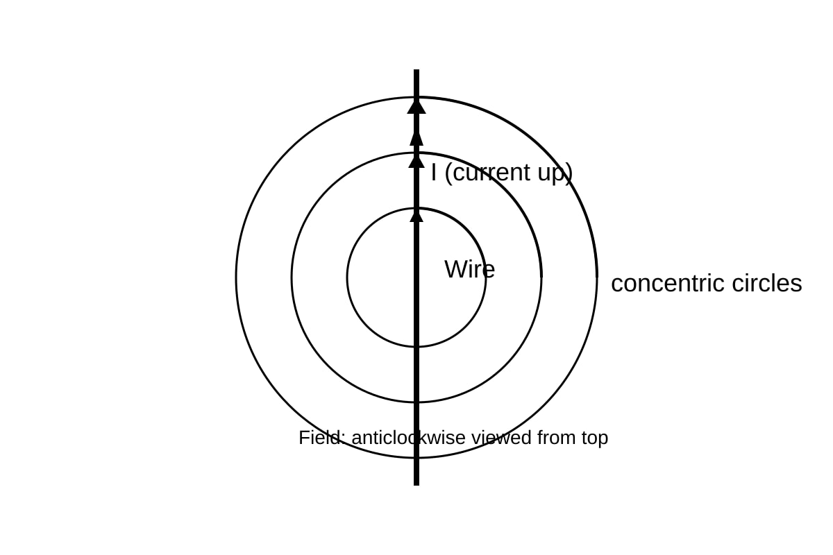Diagram for Q19 (OLEVEL Combined Science)