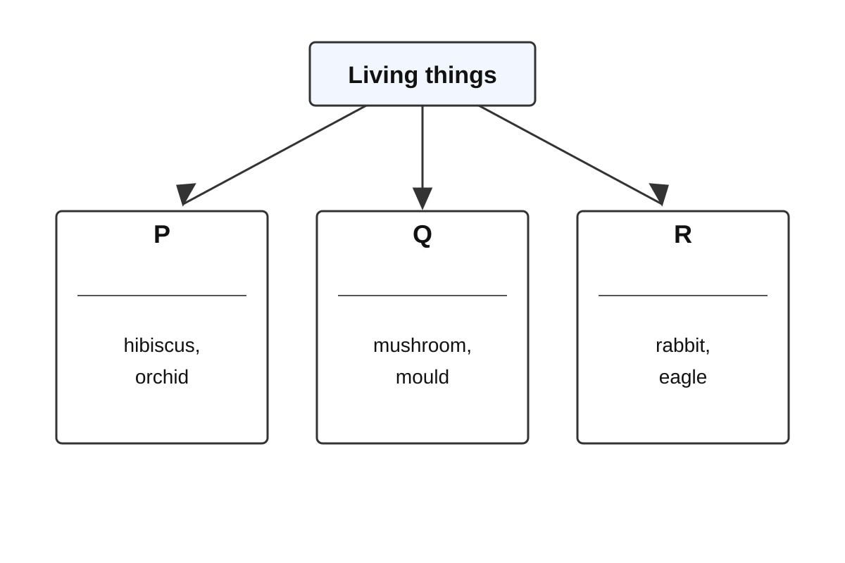Diagram for Q15 (P3 Science)