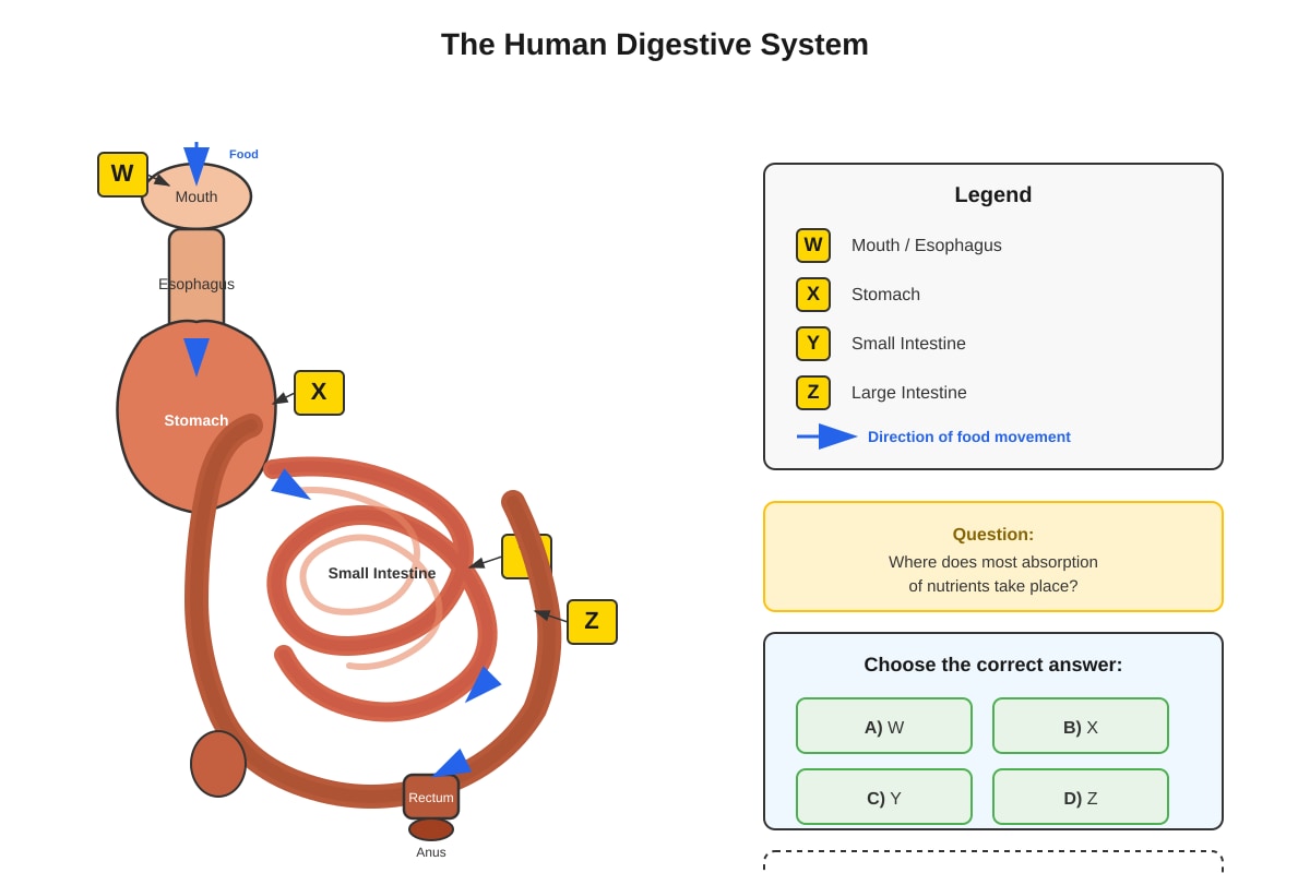 Diagram for Q11 (P4 Science)