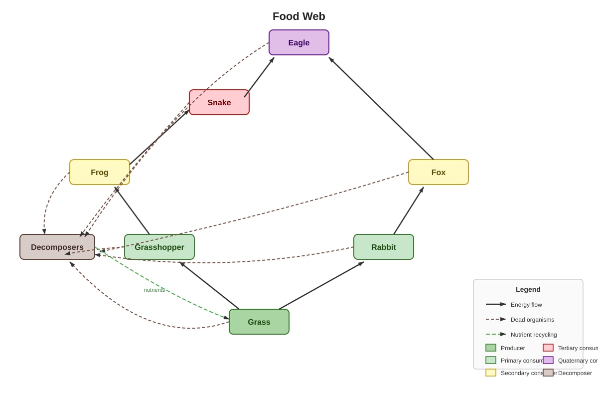 Diagram for Q28 (P5 Science)