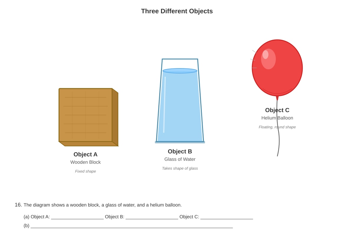 Diagram for Q16 (P4 Science)