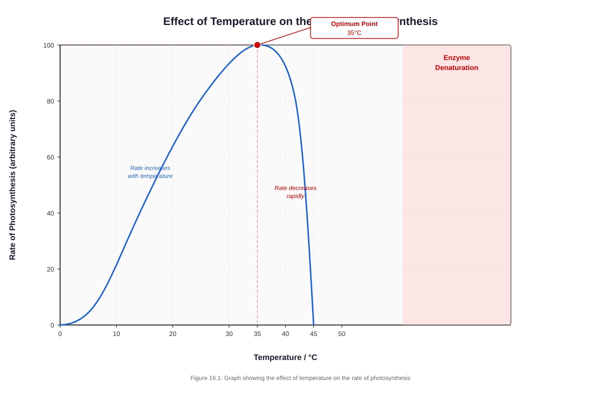 Graph for Q16 (P6 Science)