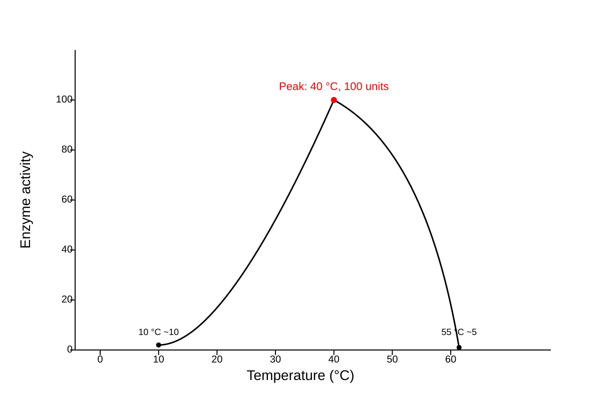 Graph for Q9 (SEC4 Pure Biology)