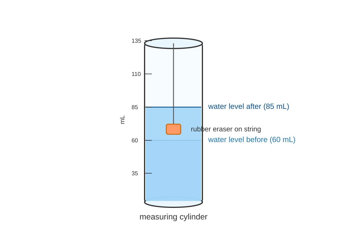 Experimental Setup for Q19 (P4 Science)