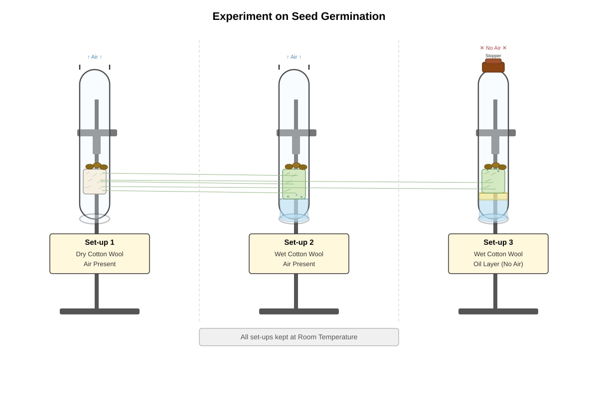 Experimental Setup for Q20 (P6 Science)