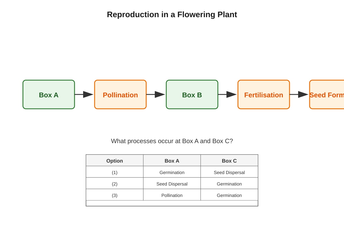 Diagram for Q4 (P5 Science)