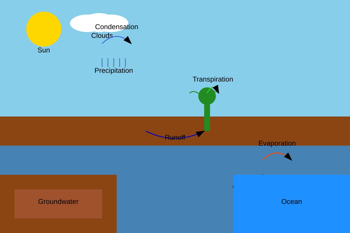 Diagram for Q13 (P6 Science)