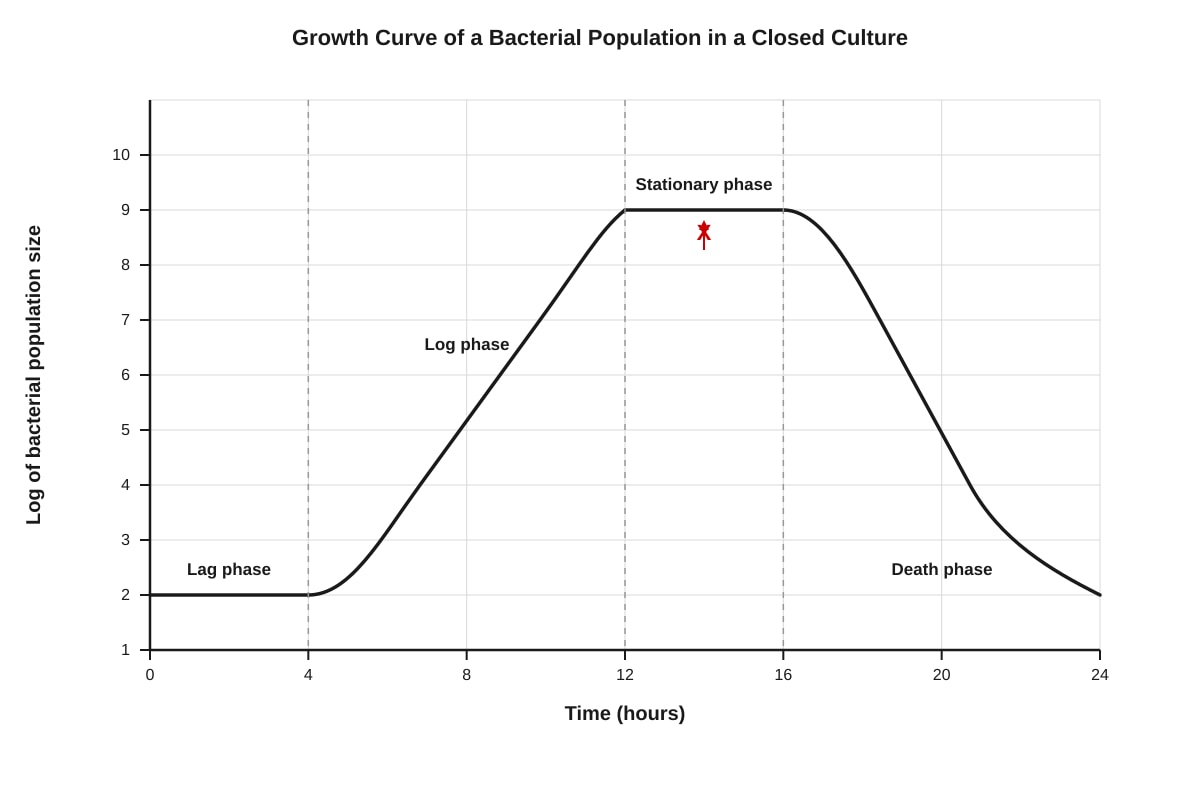 Graph for Q7 (ALEVEL Biology H1)