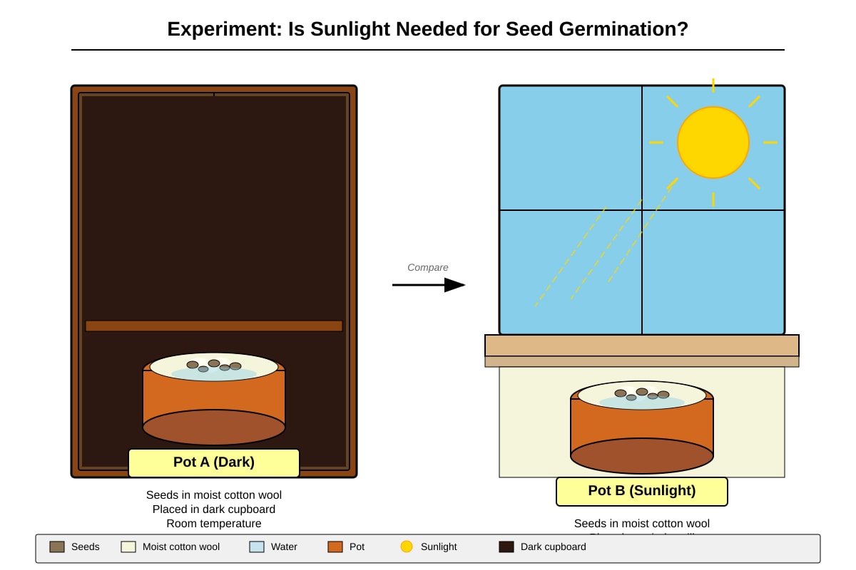 Experimental Setup for Q25 (P5 Science)