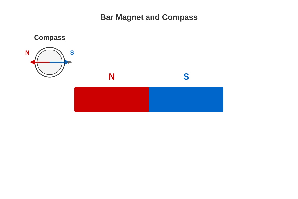 Diagram for Q20 (P4 Science)