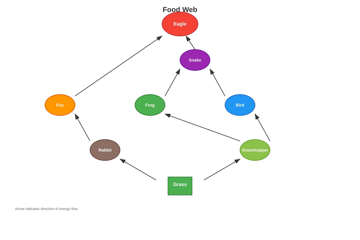 Diagram for Q22 (P5 Science)