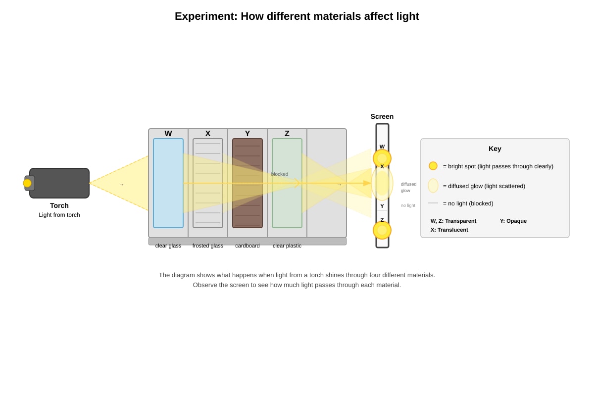 Diagram for Q19 (P4 Science)