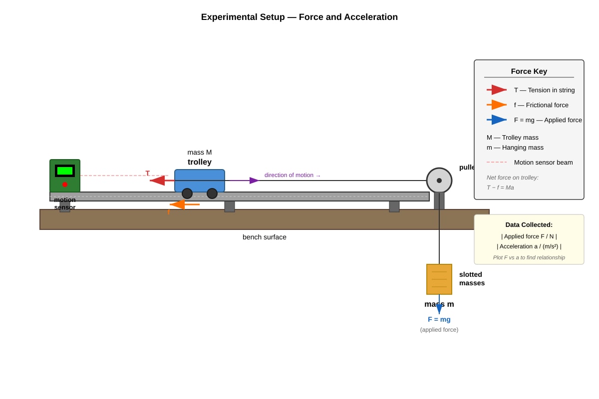 Experimental Setup for Q14 (SEC3 Physics)