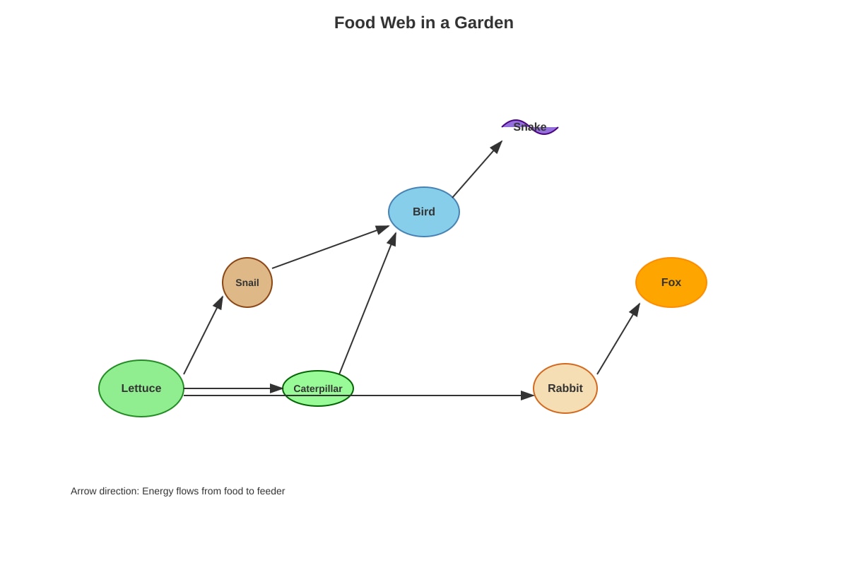Diagram for Q21 (P5 Science)