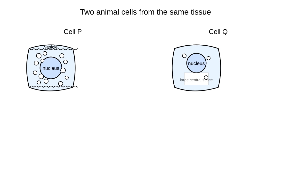 Diagram for Q19 (SEC4 Combined Sci Bio)