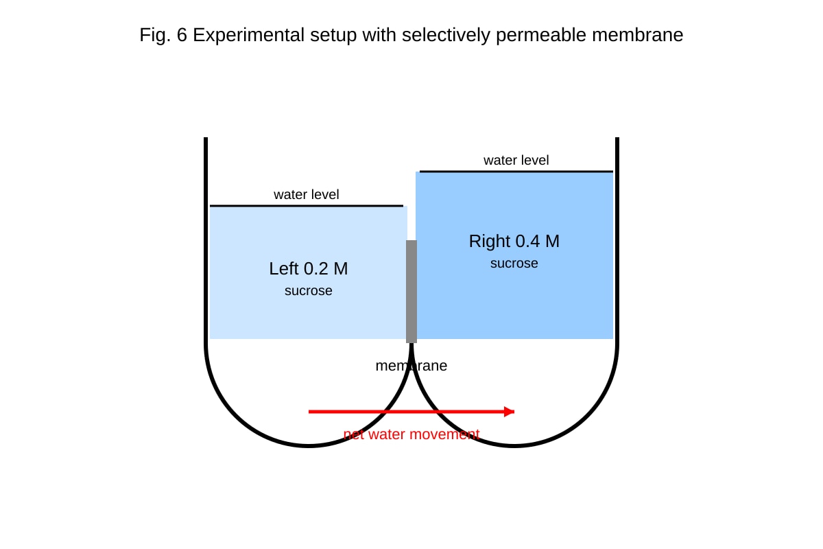 Experimental Setup for 17 (ALEVEL Biology H1)