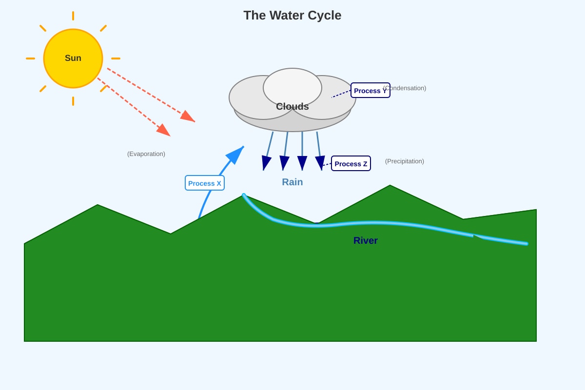 Diagram for Q16 (P6 Science)