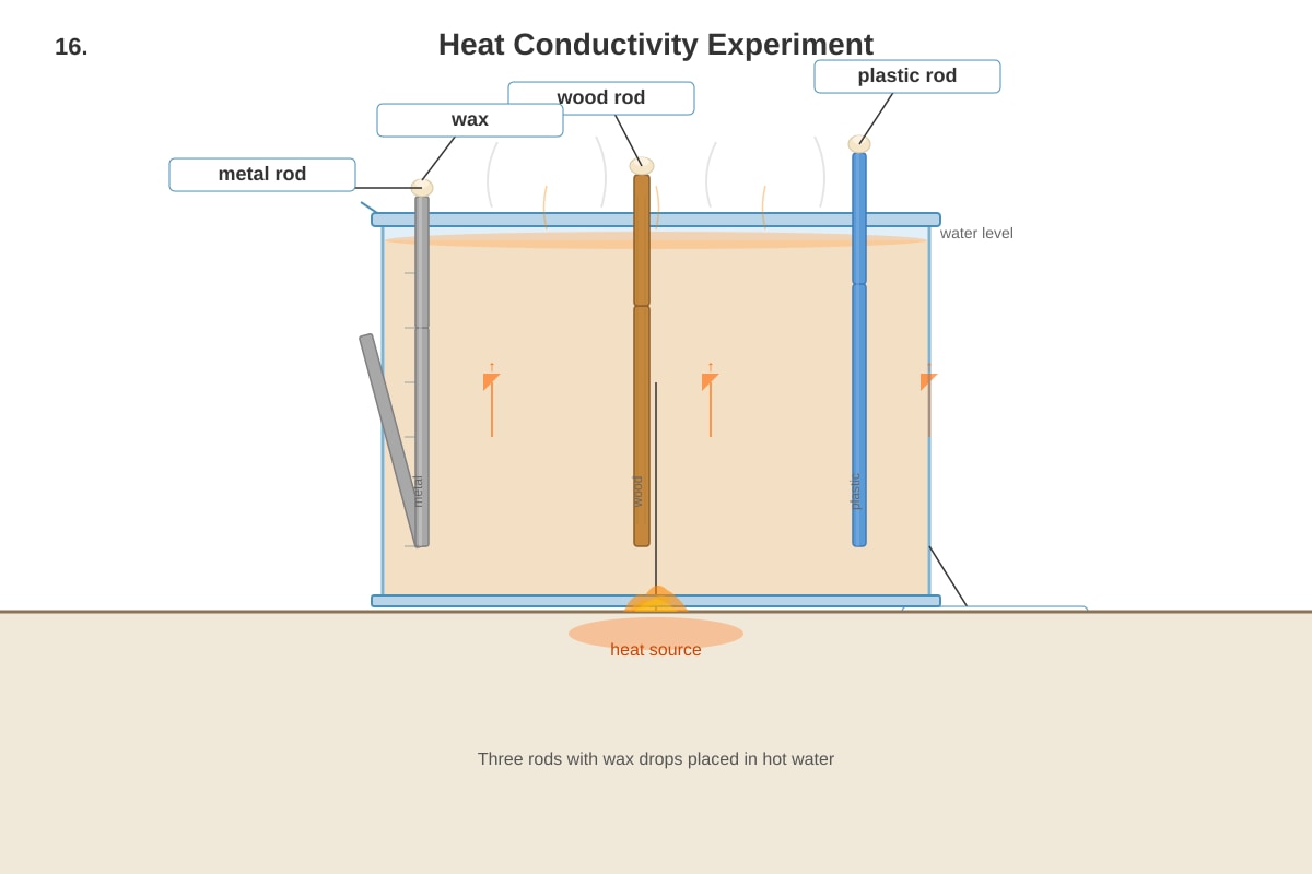 Diagram for Q16 (P3 Science)