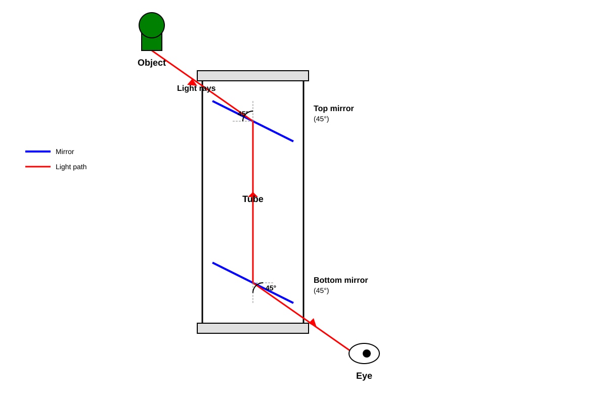 Diagram for Q39 (P4 Science)