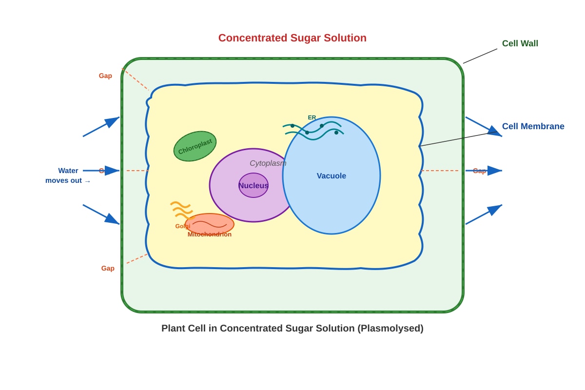 Diagram for placeholder 1 (SEC3 Combined Science)