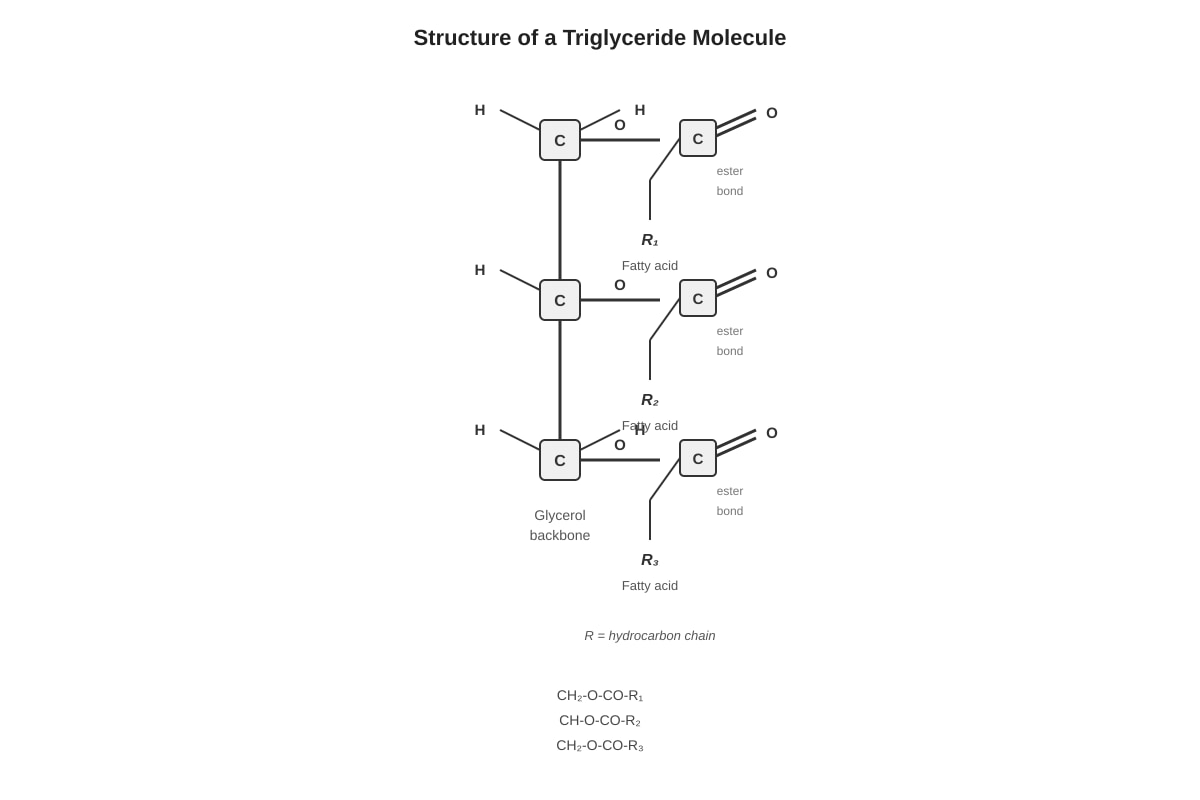 Diagram for placeholder 2 (OLEVEL Chemistry)
