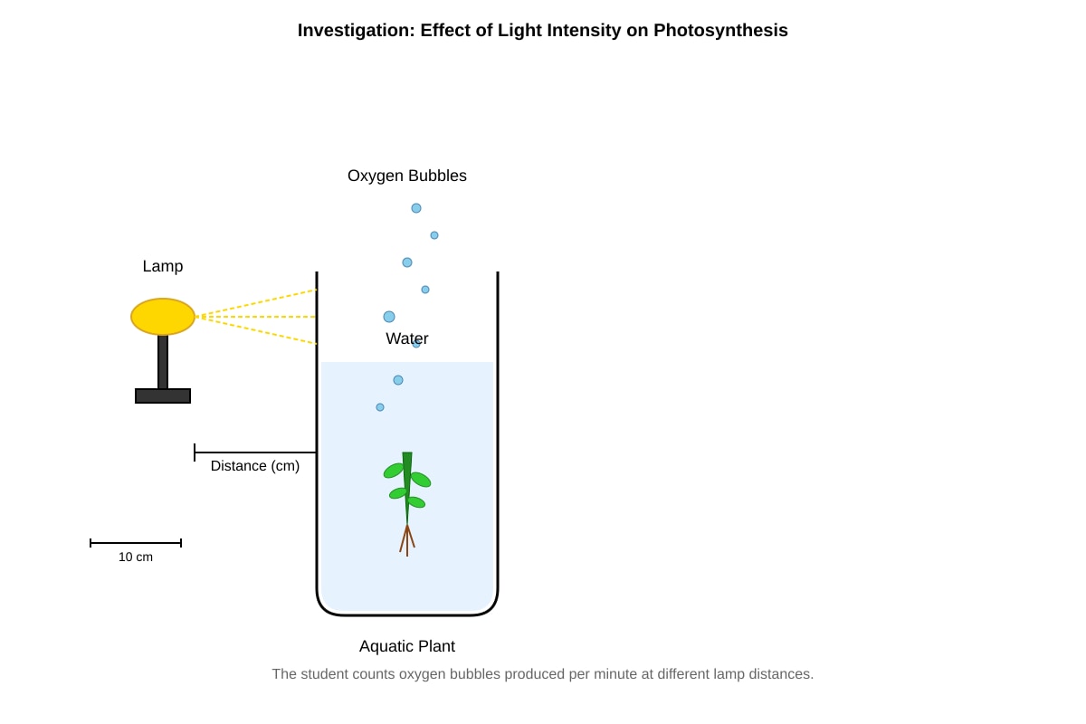 Diagram for placeholder 2 (SEC4 Combined Sci Bio)