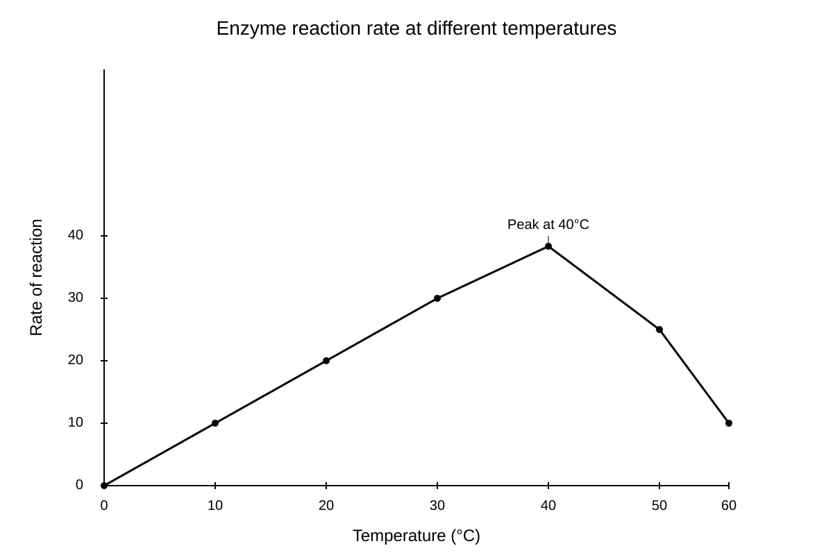 Graph for Q14 (OLEVEL Biology)
