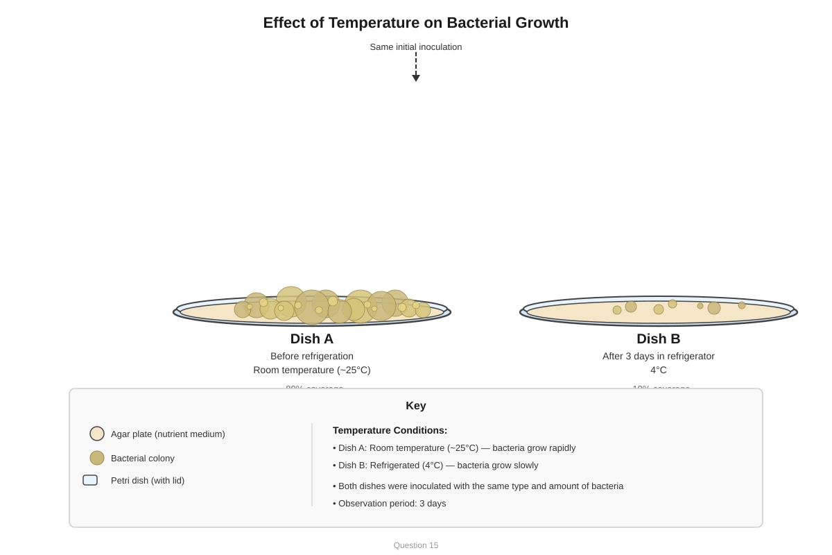 Experimental Setup for Q15 (P6 Science)