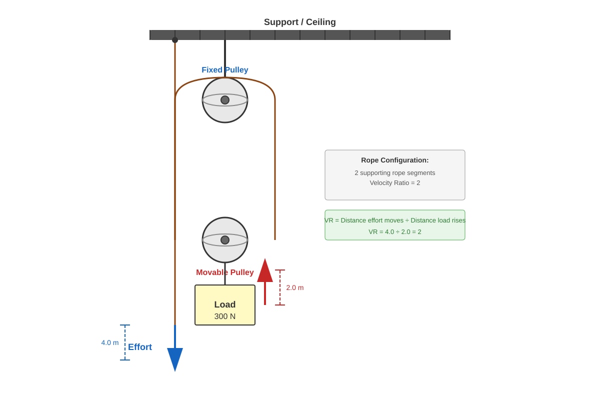 Diagram for Q13 (SEC1 Science)