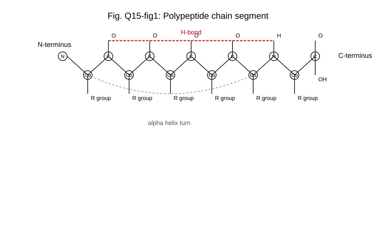 Diagram for 15 (ALEVEL Biology H1)