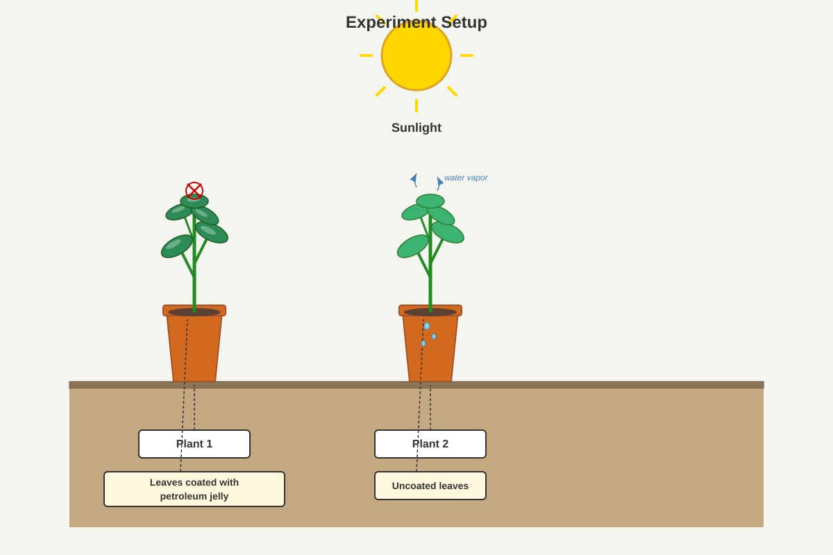 Image for placeholder 4 (P4 Science)