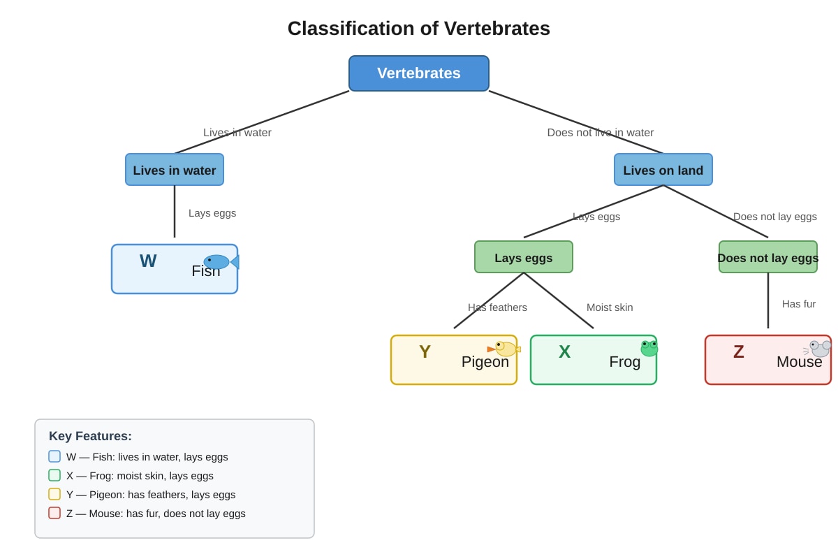 Classification Diagram for Q3 (P5 Science)