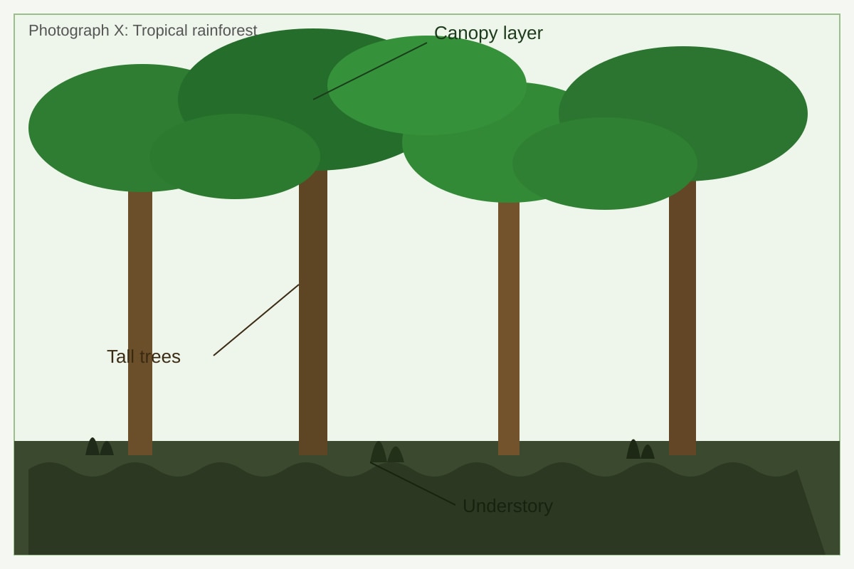 Photograph for Q2 (SEC2 Geography)