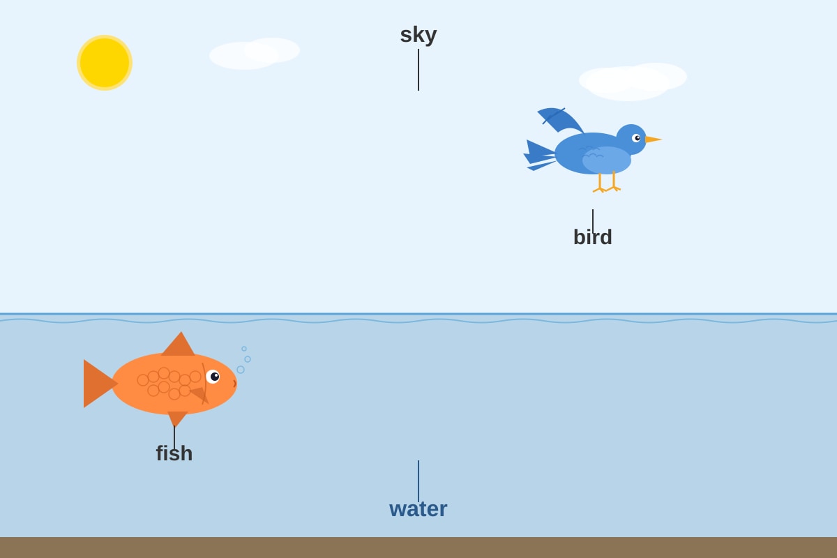 Diagram for Q19 (P3 Science)