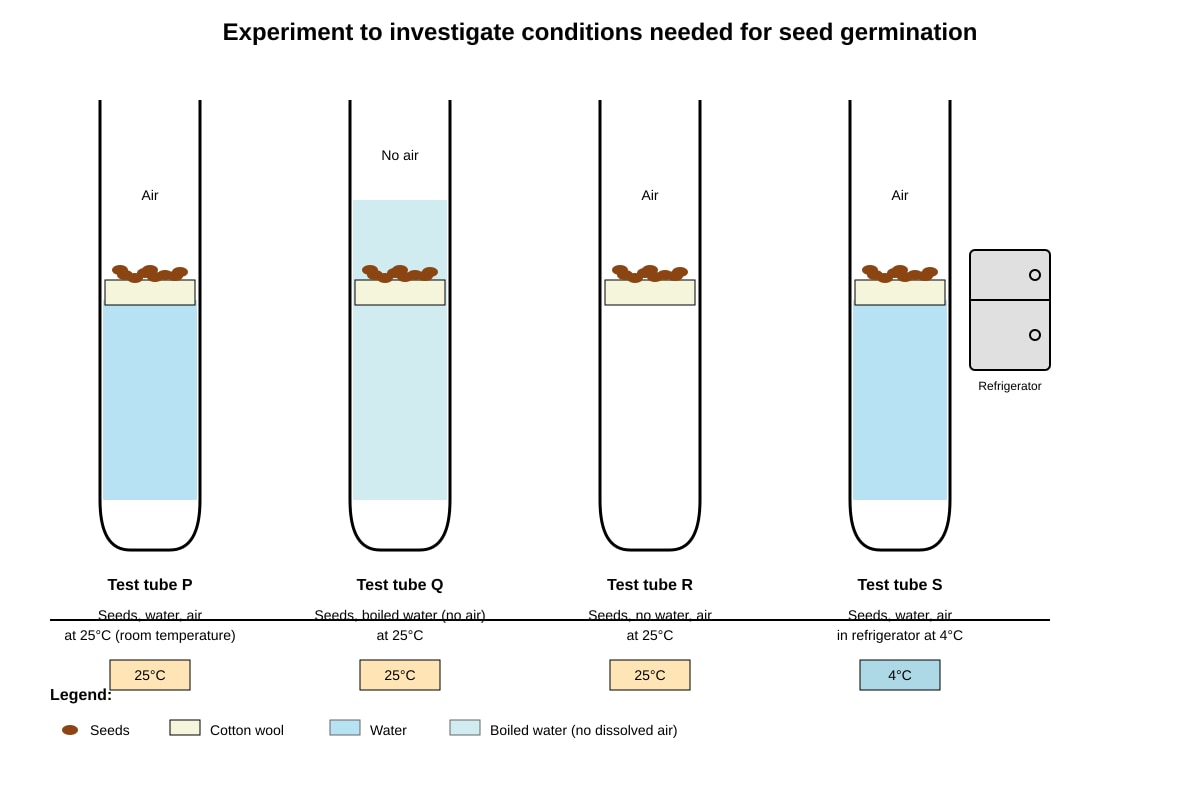 Experimental Setup for Q15 (P6 Science)